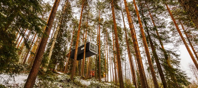 Mindfulness Holidays: The Art Of Traveling With Awareness And Intention